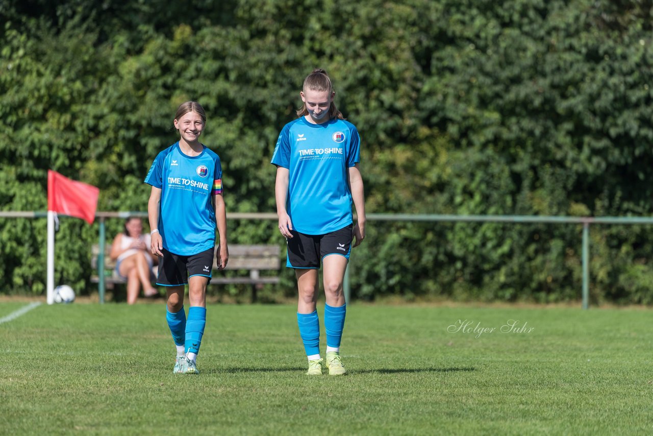 Bild 58 - wBJ VfL Pinneberg - Hamburger SV 2 : Ergebnis: 1:3